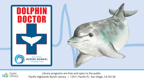 NMMF dolphon doctor