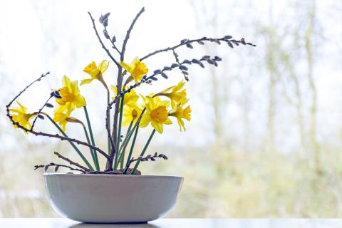 Japanese flower arrangement with daffodils