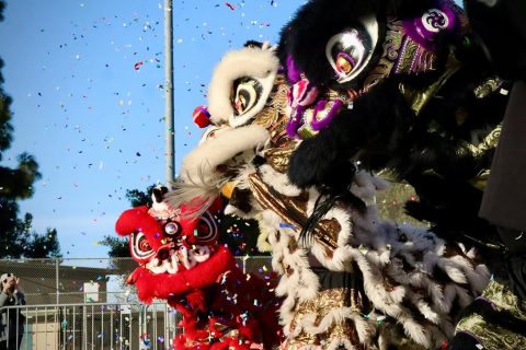 Three lions dancing