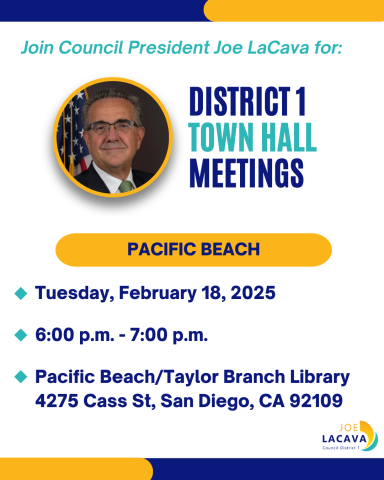 Graphic announcing the 2/18 District 1 Town Hall Meeting with Council President Joe LaCava