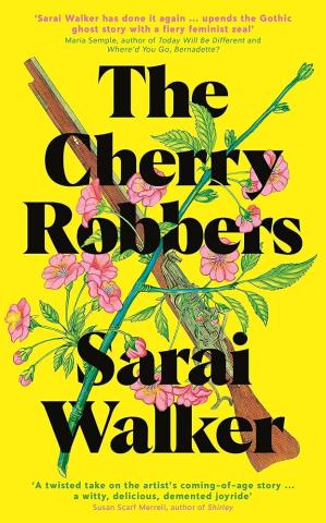 Book cover for The Cherry Robbers