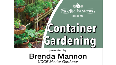 Container Gardening