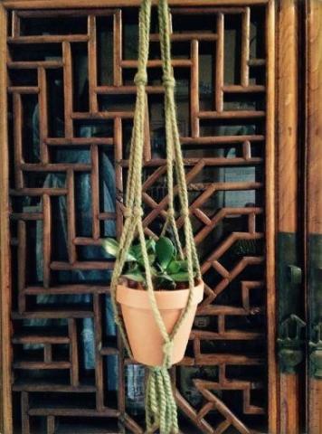 plant in terracotta pot with macrame hanger