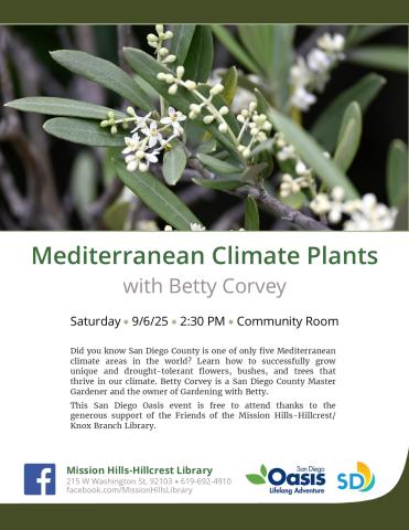 Flyer with event details and photo of olive tree branch