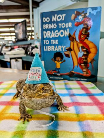 Photo of a bearded dragon wearing a party hat in front of a book called "Do Not Bring Your Dragon to the Library!"