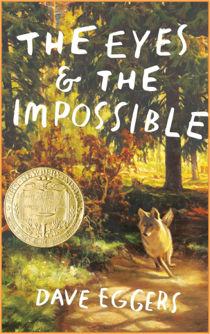 A dog is running through a forest.