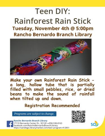 Teen DIY Rain Stick Flyer
