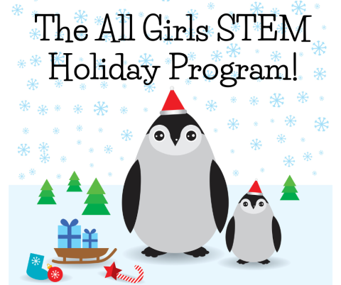 Two penguins wearing Santa hats and surrounded by a few Christmas decorations.