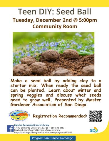 Teen DIY Seed Ball Flyer