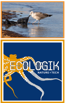 photo of plastic pollution and logo