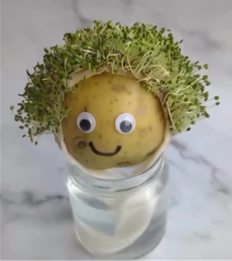 Potato with googly eyes and chia hair