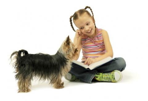 Young girl reading a book to a small dog. 