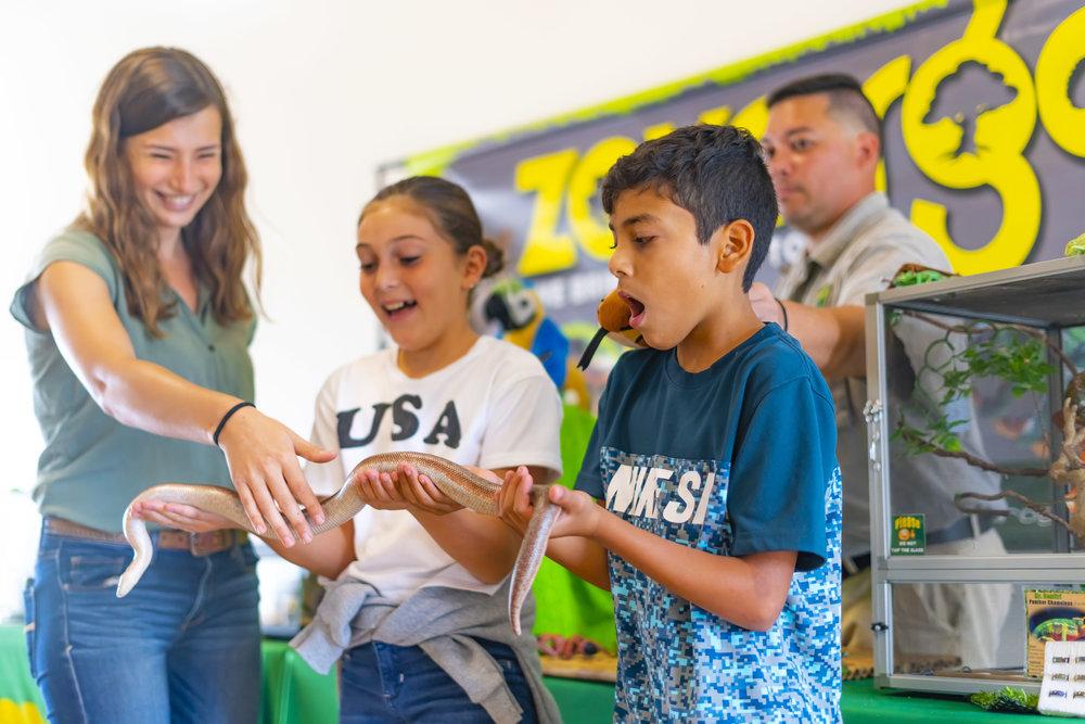 Children interact with a snake