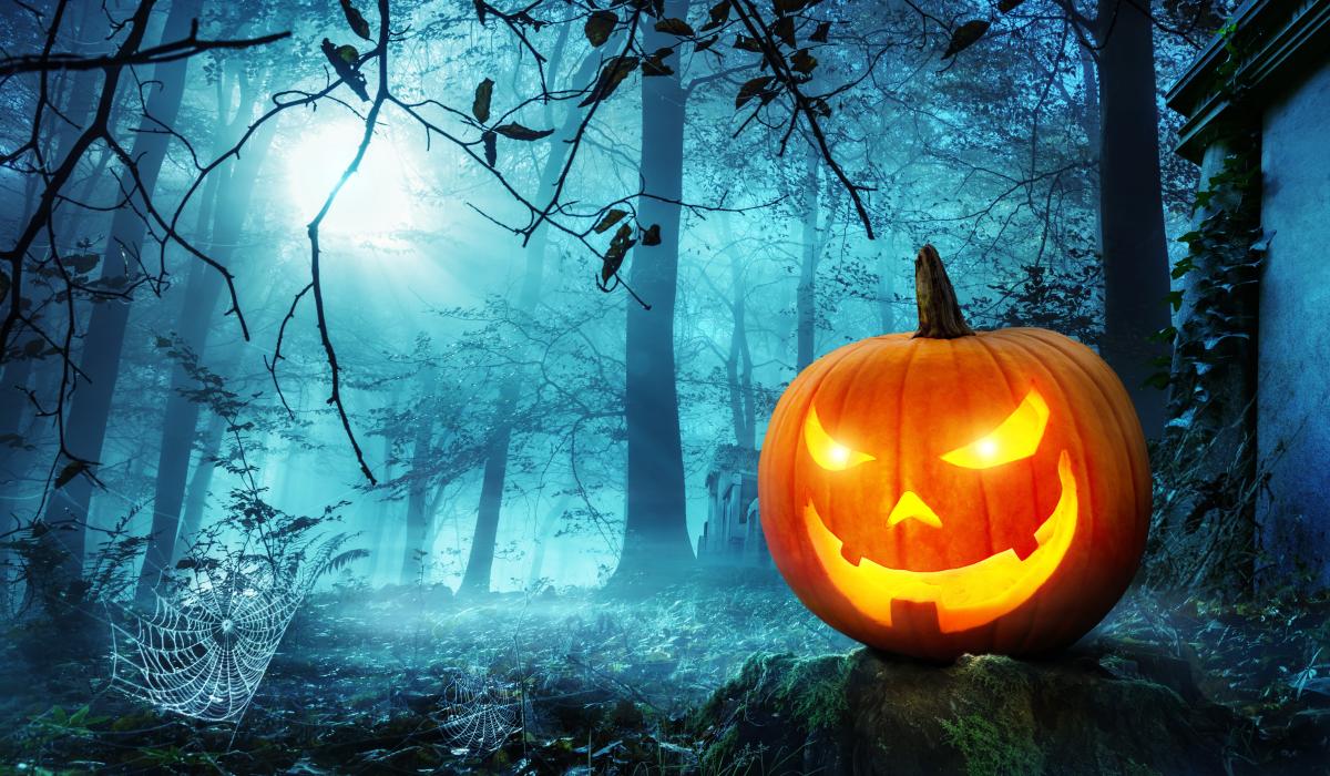 A jack-o-lantern in a forest