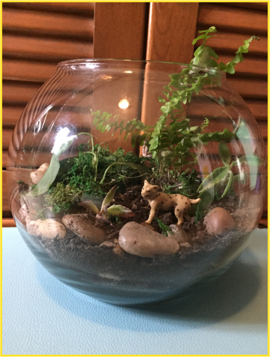 Terrarium