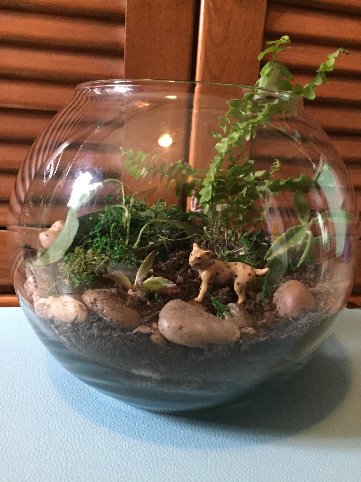 Toshwerks Terrarium