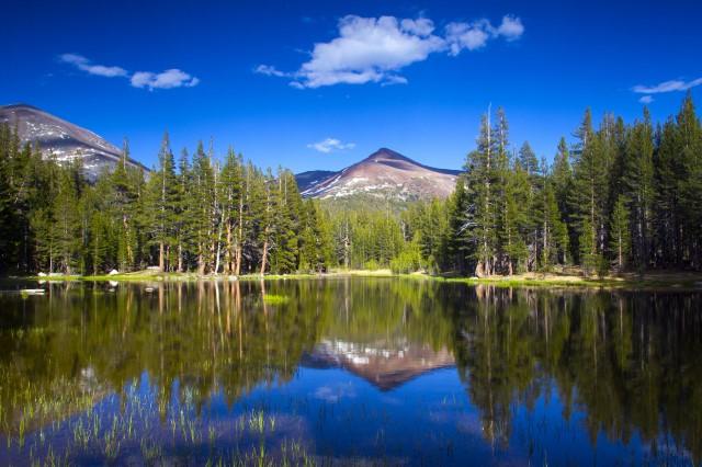 Lake Tenaya