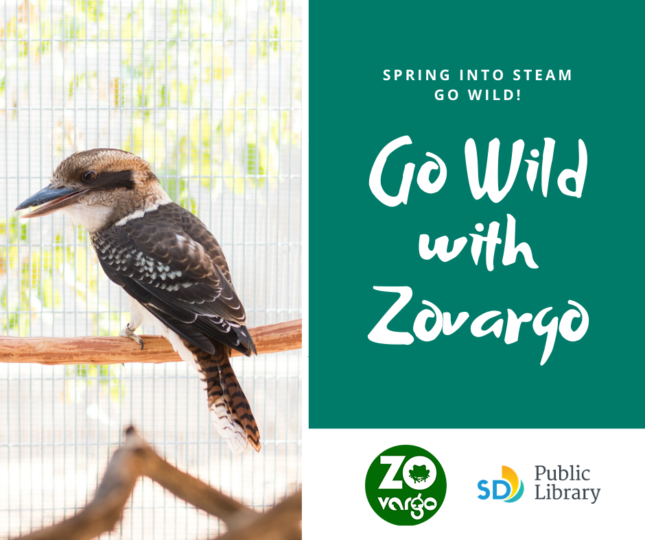 Bird perched on a branch