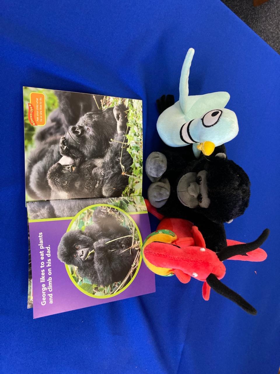 pigeon and gorilla and dragon ( stuffed toys) reading about gorillas