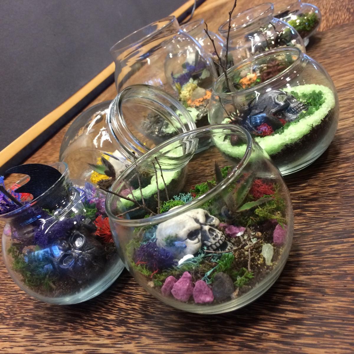 terrarium example