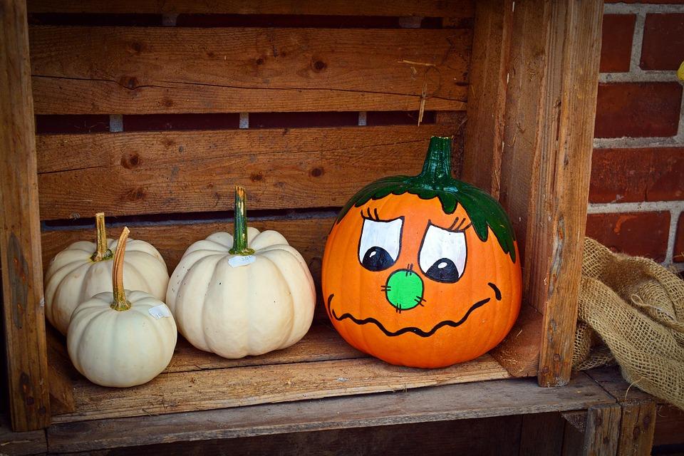 Pumpkins painted with faces