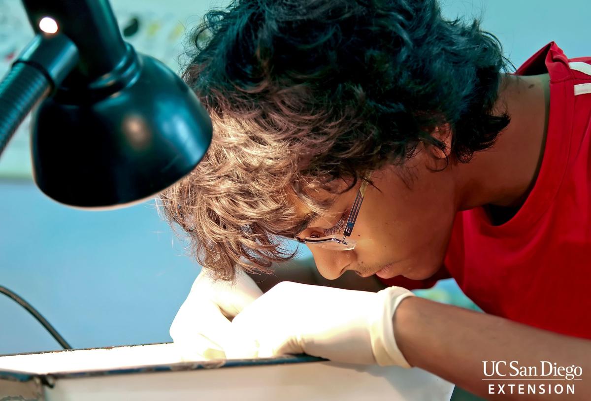 Student doing dissection