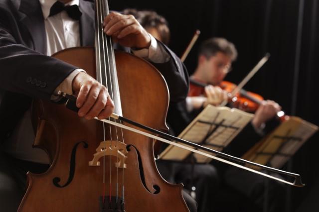 musicians playing string instruments