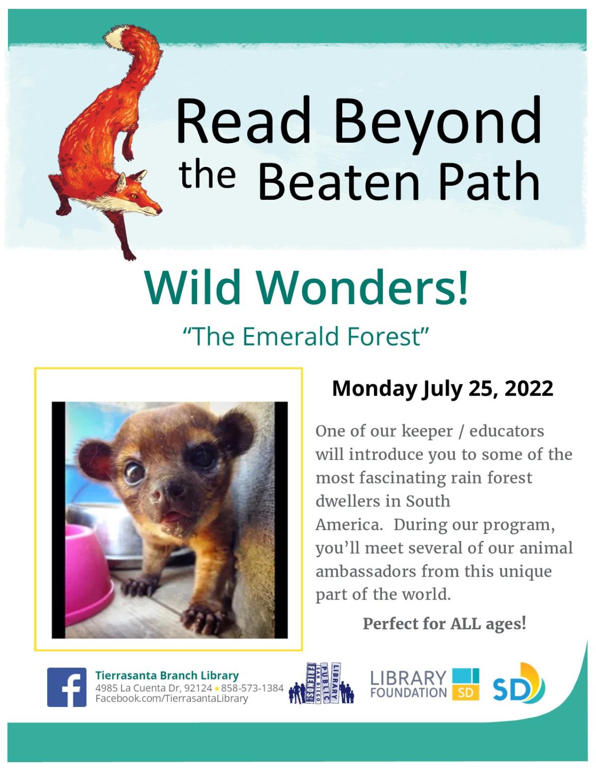 Flyer with a cute cuddly wild animal resembling a racoon.