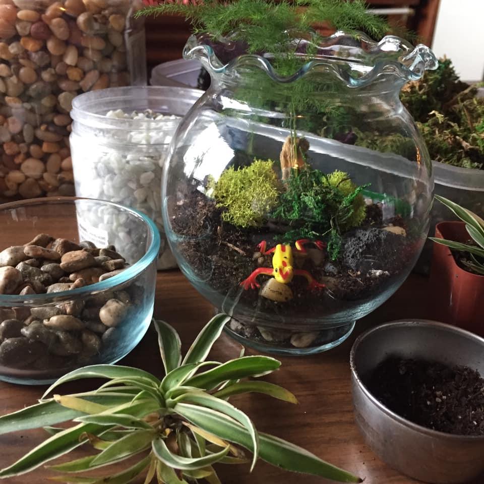 forrest terrarium, summer reading program, toshwerks