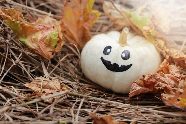Photo of a mini white pumpkin with a jack o'lantern face sitting among hay and leaves
