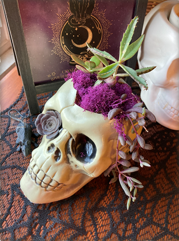 Photograph of a skull centerpiece with succulents