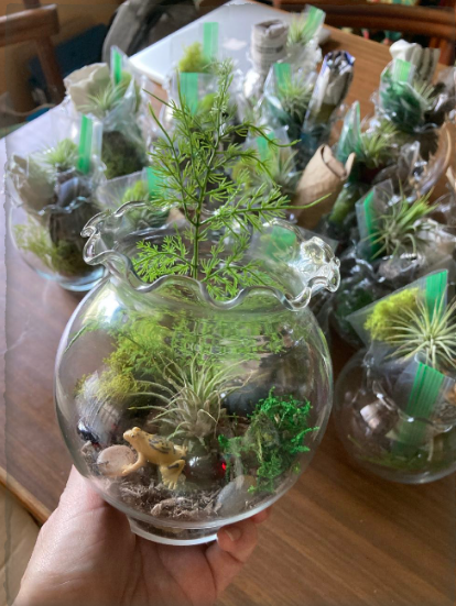 DIY Forest Terrariums