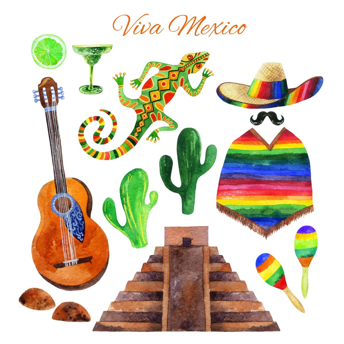 Says "Viva Mexico".  Picture shows a guitar, lizard, cactus, sombrero, poncho, maracas, and  a pyramid.