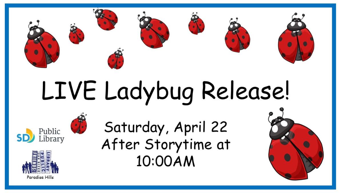 Ladybug Release
