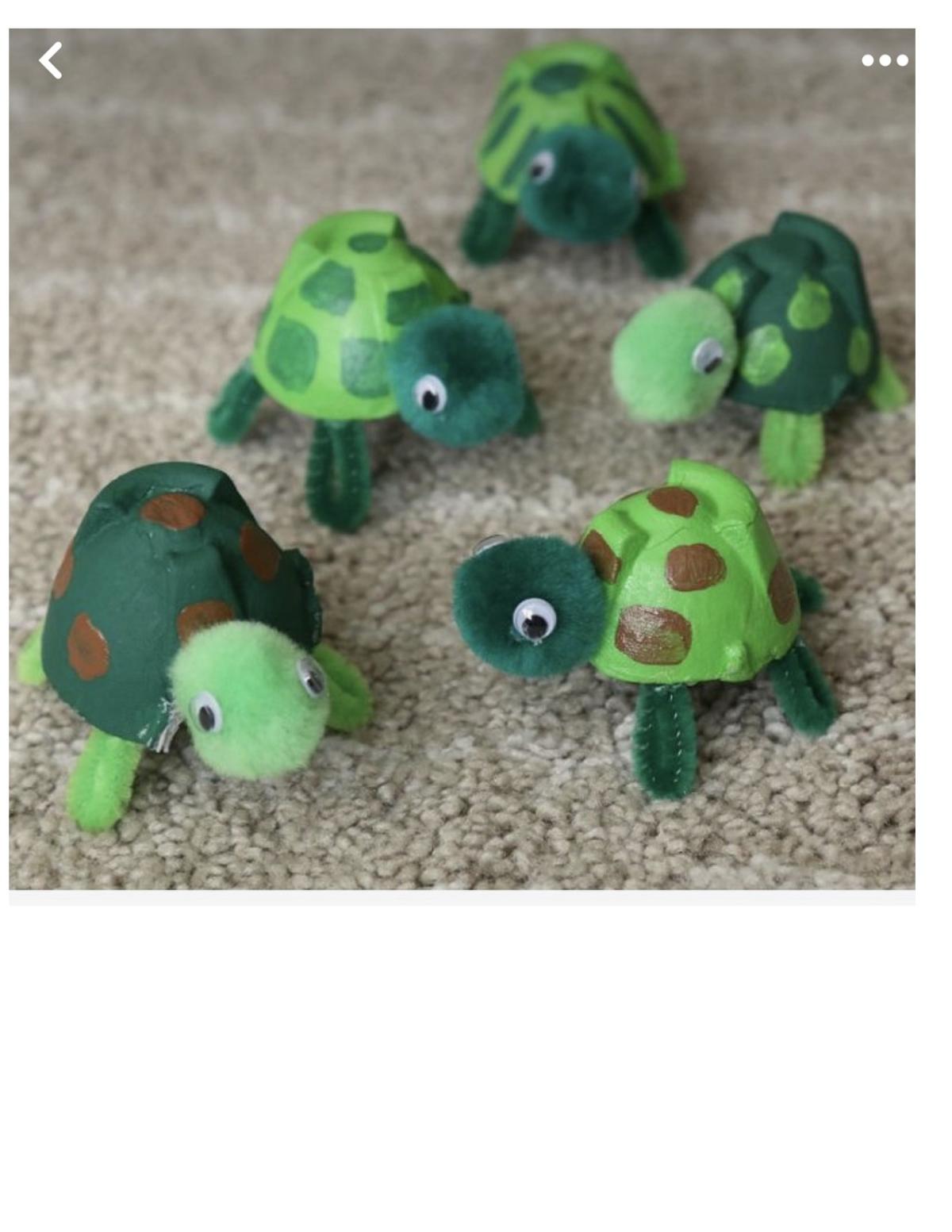 Mini Turtles