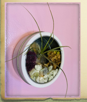 A circular, silver metal terrarium with an air plant that has a magnet on the back