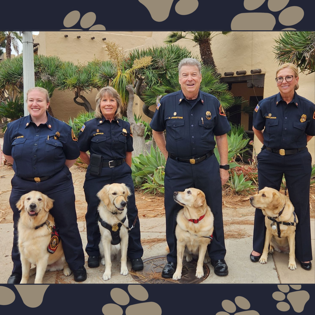 4 people in blue uniforms stand behind 4 sitting golden retriever dogs