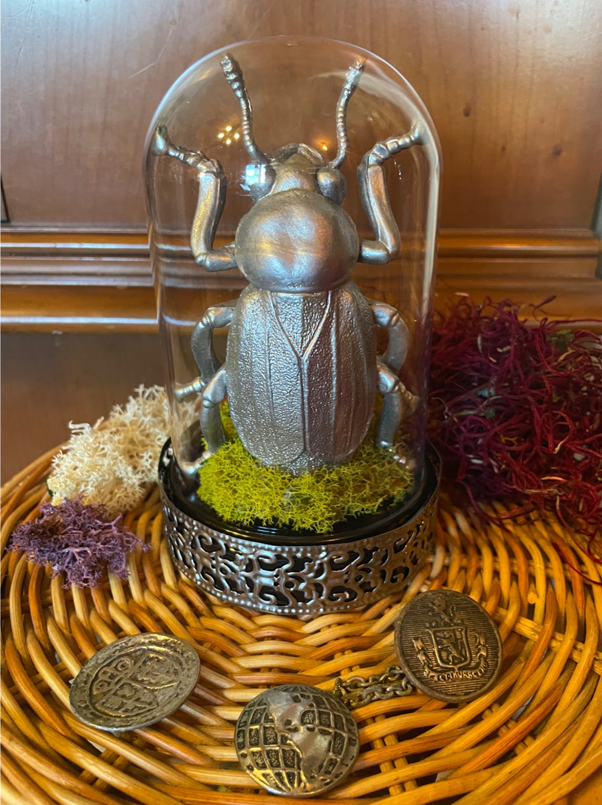 photo of a faux insect decorative cloche