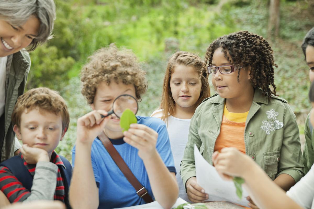 Children in nature examining a leaf