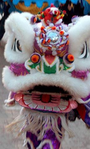 Lion Dancer