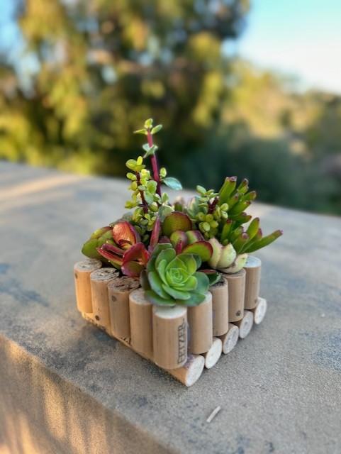 Cork planter.