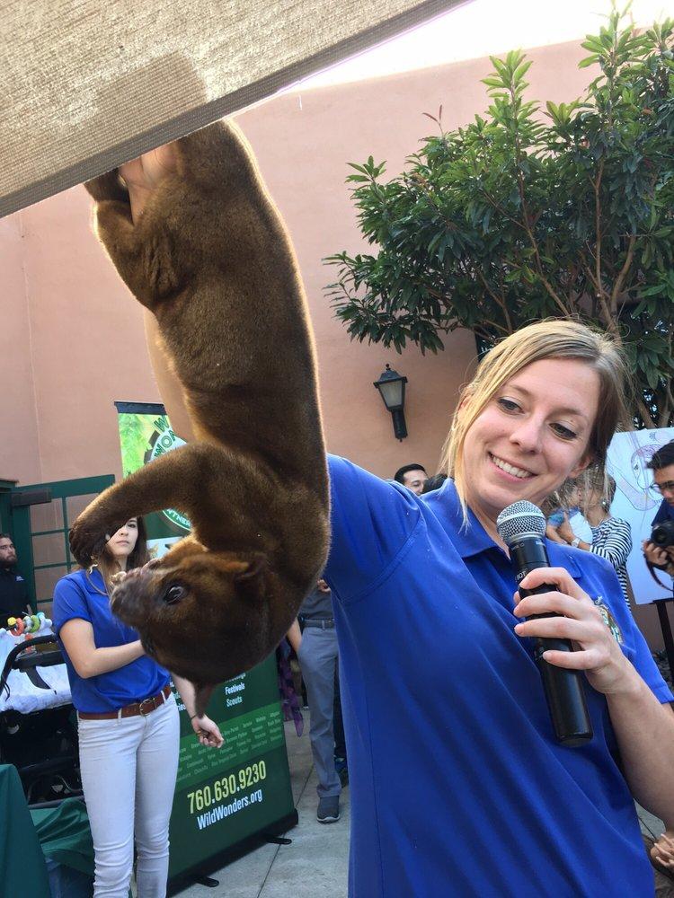 Wild Wonders team member holding a kinkajou 