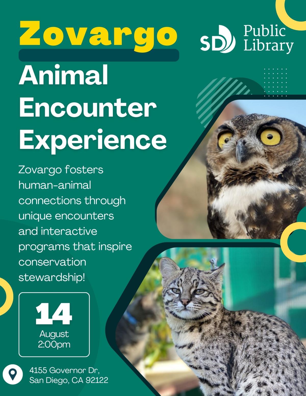 Promotional poster for Zovargo Animal Encounter Experience poster features an owl and a Geoffroy’s cat 