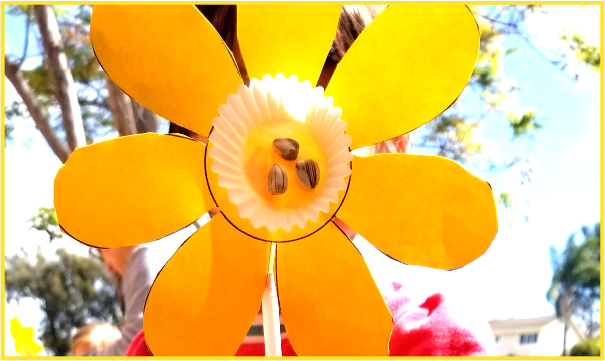 paper sunflower craft