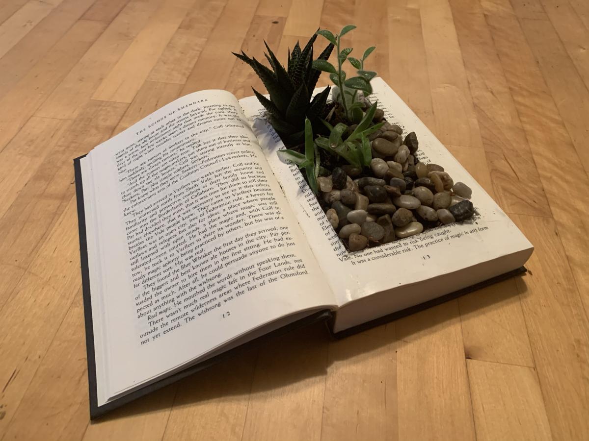 Succulent Book Planter