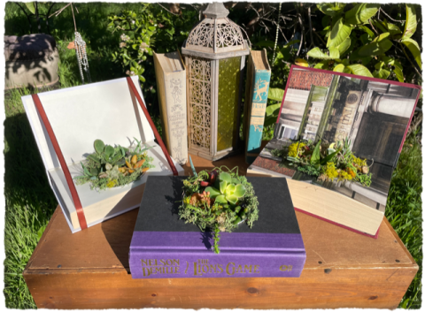 succulents planted into old books