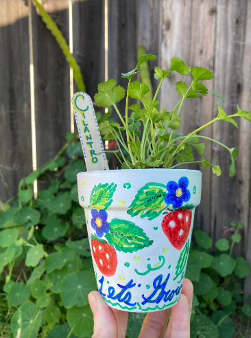 Terracotta Herb Garden