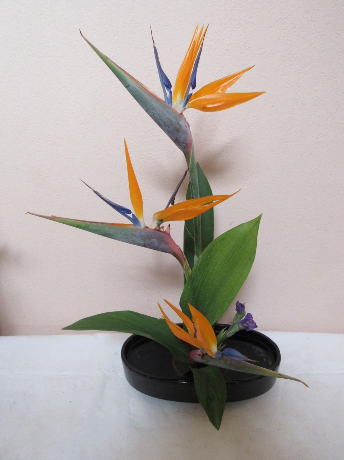 Ikebana