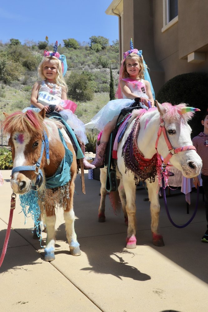 my little pony rides