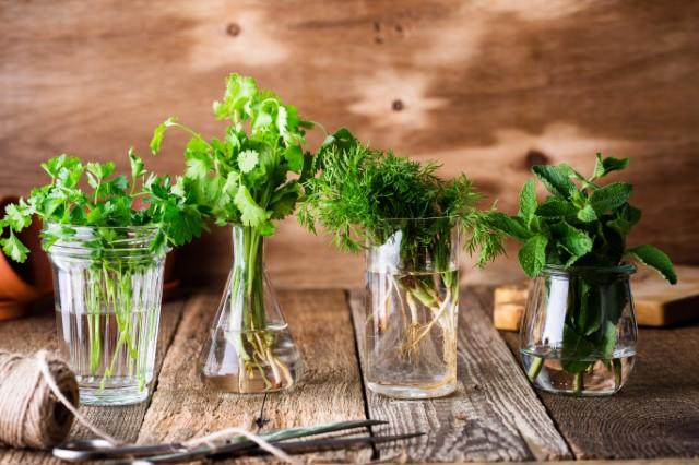 Herbs in watered glass jars.